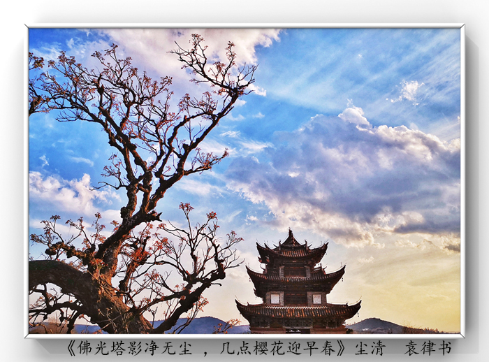 025《佛光塔影凈無塵 ，幾點櫻花迎早春》.jpg